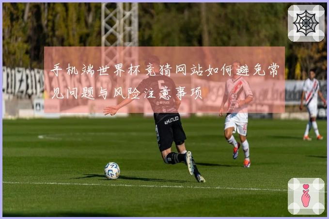 手机端世界杯竞猜网站如何避免常见问题与风险注意事项