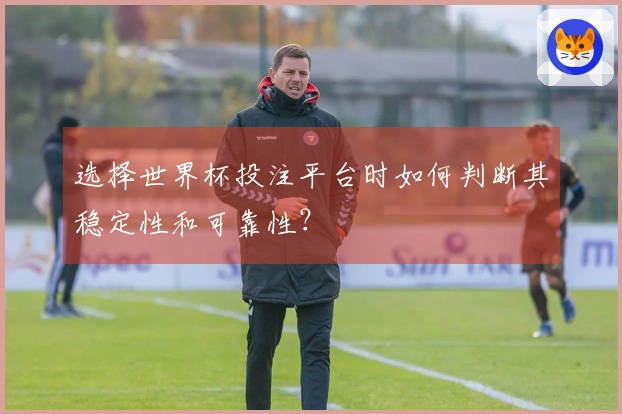 选择世界杯投注平台时如何判断其稳定性和可靠性？