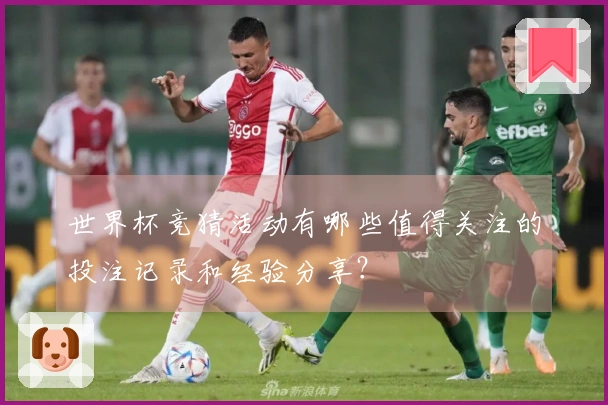 世界杯竞猜活动有哪些值得关注的投注记录和经验分享？