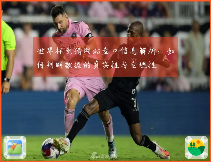 世界杯竞猜网站盘口信息解析，如何判断数据的真实性与合理性