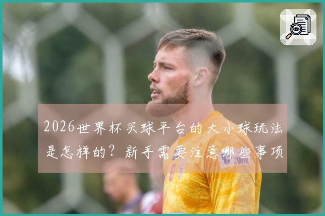 2026世界杯买球平台的大小球玩法是怎样的？新手需要注意哪些事项？