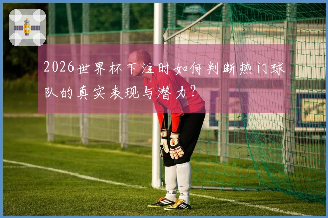 2026世界杯下注时如何判断热门球队的真实表现与潜力？