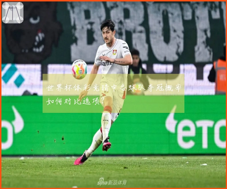 世界杯体彩竞猜中各球队夺冠概率如何对比选项？