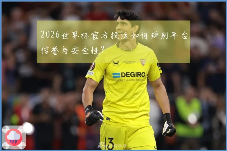 2026世界杯官方投注如何辨别平台信誉与安全性？