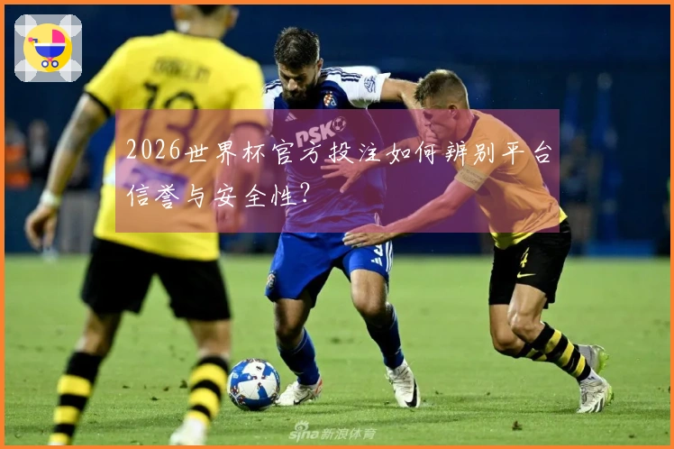 2026世界杯官方投注如何辨别平台信誉与安全性？