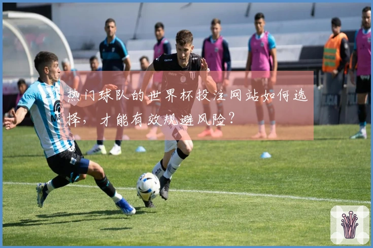 热门球队的世界杯投注网站如何选择，才能有效规避风险？