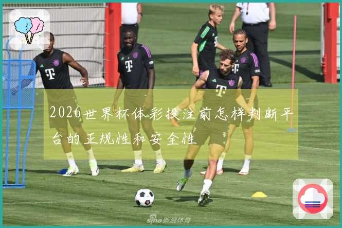 2026世界杯体彩投注前怎样判断平台的正规性和安全性