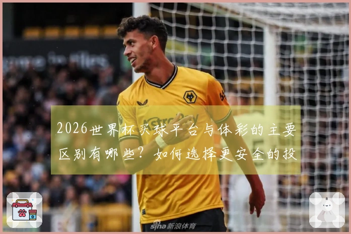 2026世界杯买球平台与体彩的主要区别有哪些？如何选择更安全的投注方式？