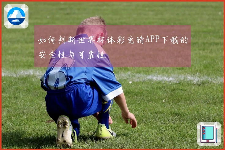 如何判断世界杯体彩竞猜APP下载的安全性与可靠性