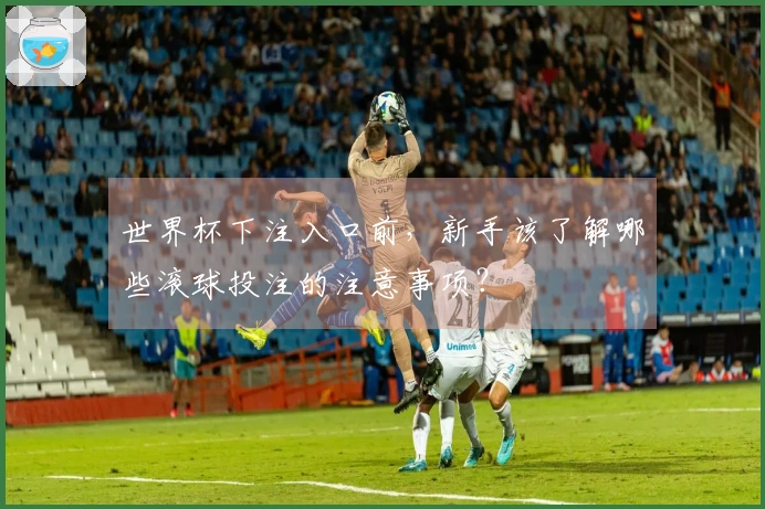世界杯下注入口前，新手该了解哪些滚球投注的注意事项？