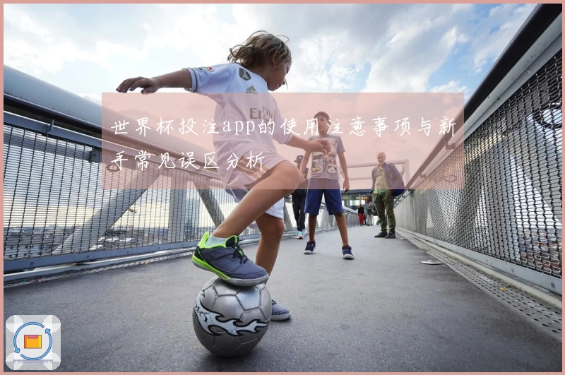 世界杯投注app的使用注意事项与新手常见误区分析