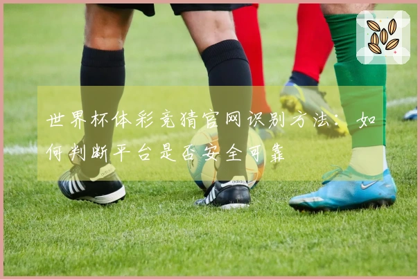 世界杯体彩竞猜官网识别方法：如何判断平台是否安全可靠
