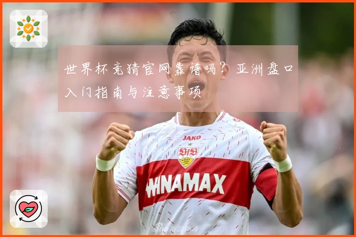 世界杯竞猜官网靠谱吗？亚洲盘口入门指南与注意事项
