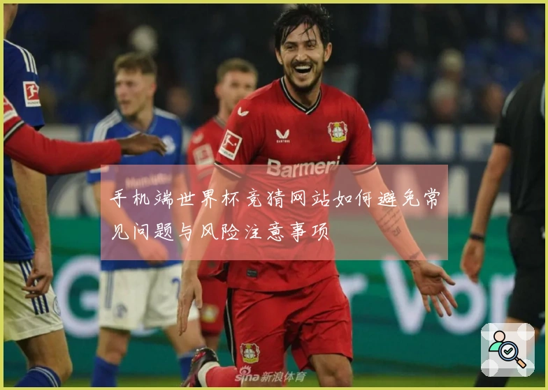 手机端世界杯竞猜网站如何避免常见问题与风险注意事项