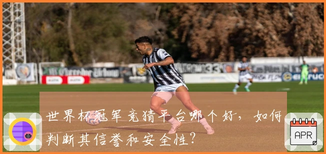世界杯冠军竞猜平台哪个好，如何判断其信誉和安全性？