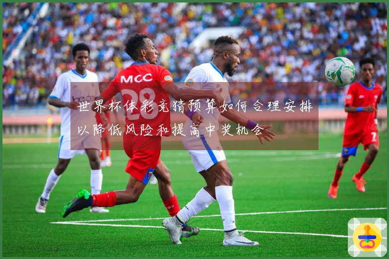 世界杯体彩竞猜预算如何合理安排以降低风险和提高中奖机会