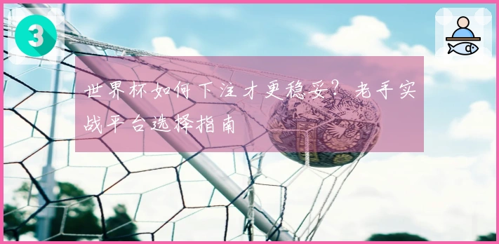 世界杯如何下注才更稳妥？老手实战平台选择指南