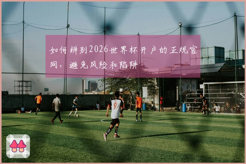 如何辨别2026世界杯开户的正规官网，避免风险和陷阱