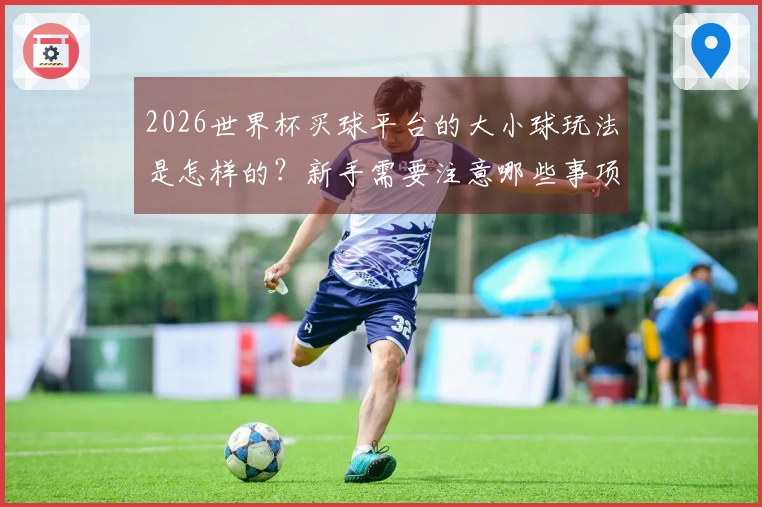 2026世界杯买球平台的大小球玩法是怎样的？新手需要注意哪些事项？