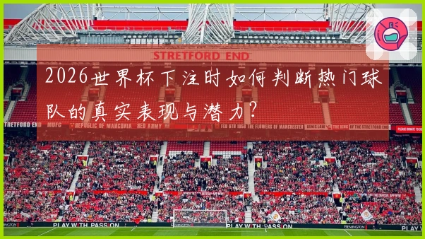 2026世界杯下注时如何判断热门球队的真实表现与潜力？