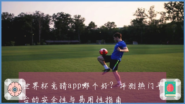 世界杯竞猜app哪个好？评测热门平台的安全性与易用性指南