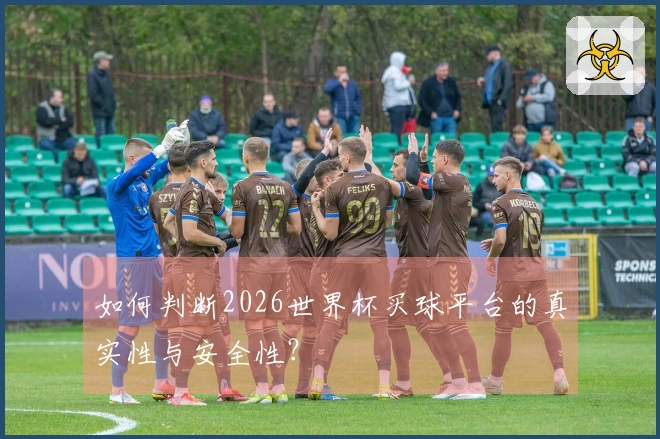 如何判断2026世界杯买球平台的真实性与安全性？