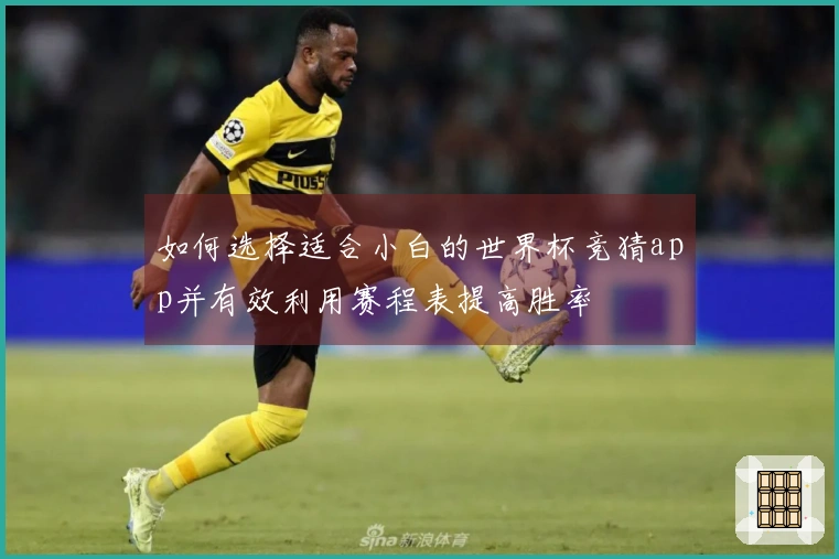 如何选择适合小白的世界杯竞猜app并有效利用赛程表提高胜率
