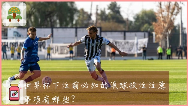 世界杯下注前必知的滚球投注注意事项有哪些？