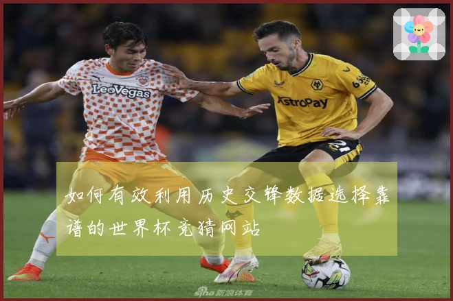 如何有效利用历史交锋数据选择靠谱的世界杯竞猜网站