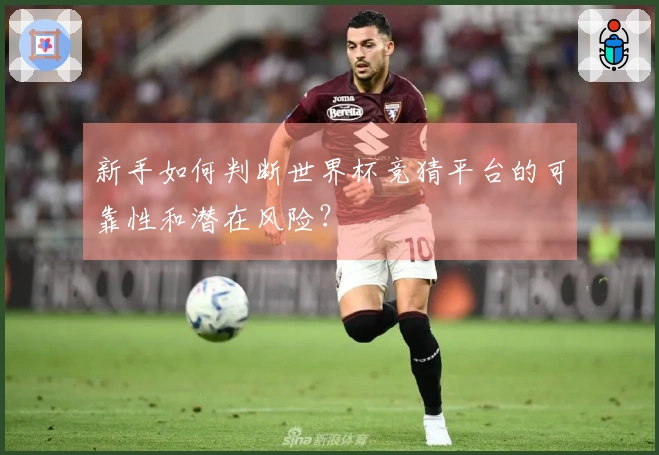 新手如何判断世界杯竞猜平台的可靠性和潜在风险？