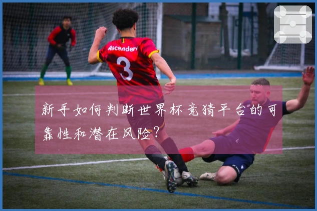 新手如何判断世界杯竞猜平台的可靠性和潜在风险？
