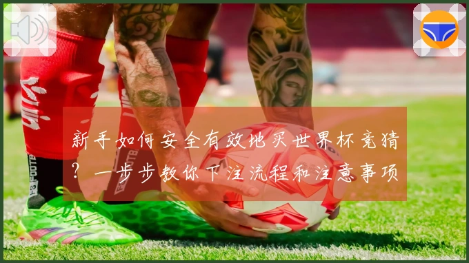 新手如何安全有效地买世界杯竞猜？一步步教你下注流程和注意事项