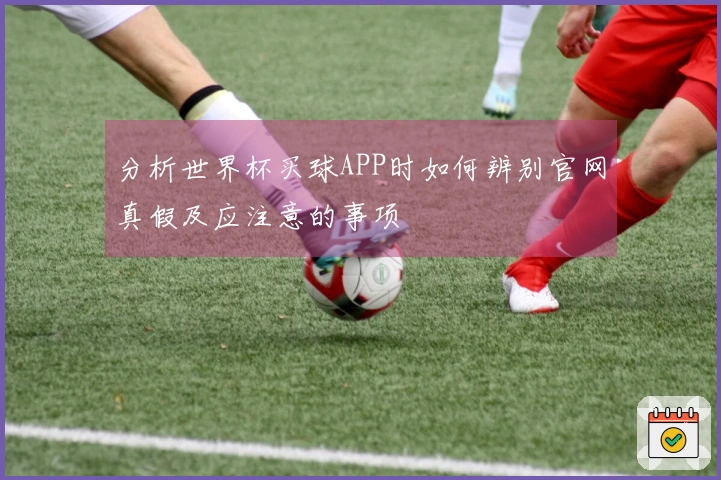 分析世界杯买球APP时如何辨别官网真假及应注意的事项