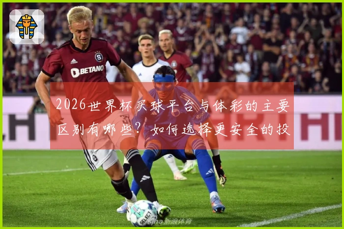 2026世界杯买球平台与体彩的主要区别有哪些？如何选择更安全的投注方式？