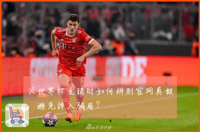 买世界杯竞猜时如何辨别官网真假，避免掉入骗局？
